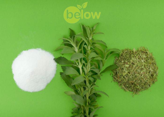 How to Use Stevia in Foods and Beverages