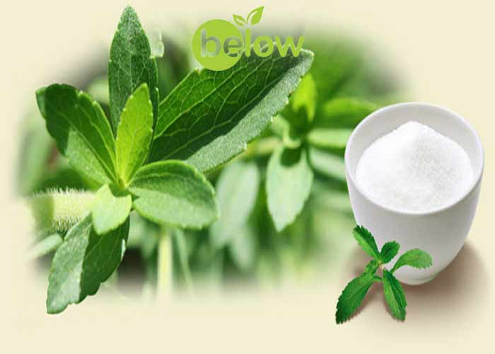Scientific Research on the Effects of Stevia Sugar on the Body