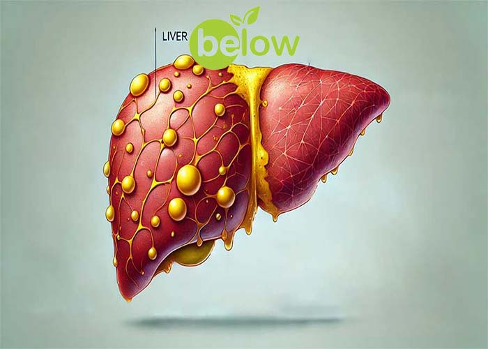 Stevia and Liver Health